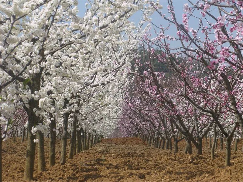 50dff5aa002339684c97bc57e775a8dd 50dff5aa002339684c97bc57e775a8dd.jpg