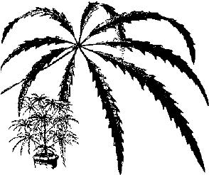 pagenumber_ebook=277,pagenumber_book=277