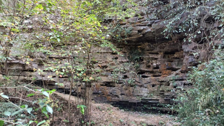 图片 5 图片 5.png