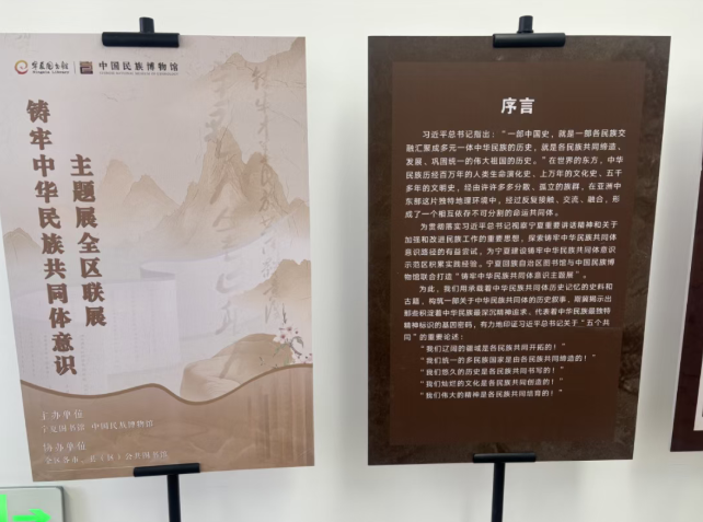image image.png?v=1788321581030