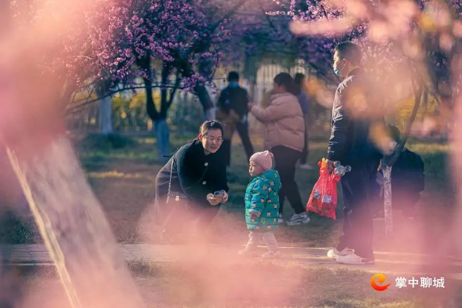 微信图片_20210324085036 微信图片_20210324085036.jpg