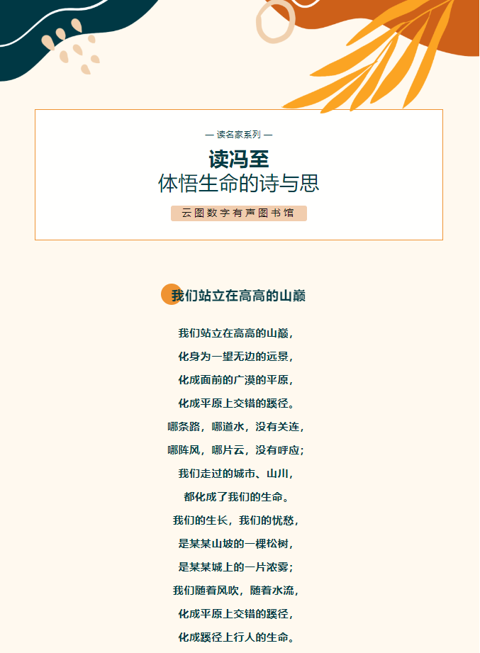 image.png?v=1754494547999