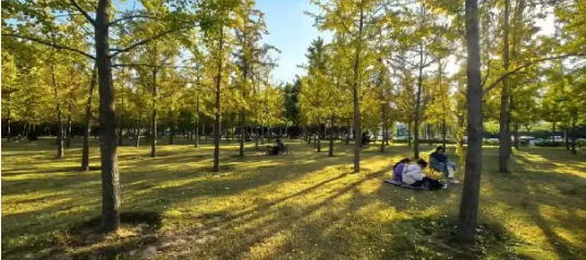 4018326244a7bd0112afd59e5cfe6bb4 4018326244a7bd0112afd59e5cfe6bb4.png