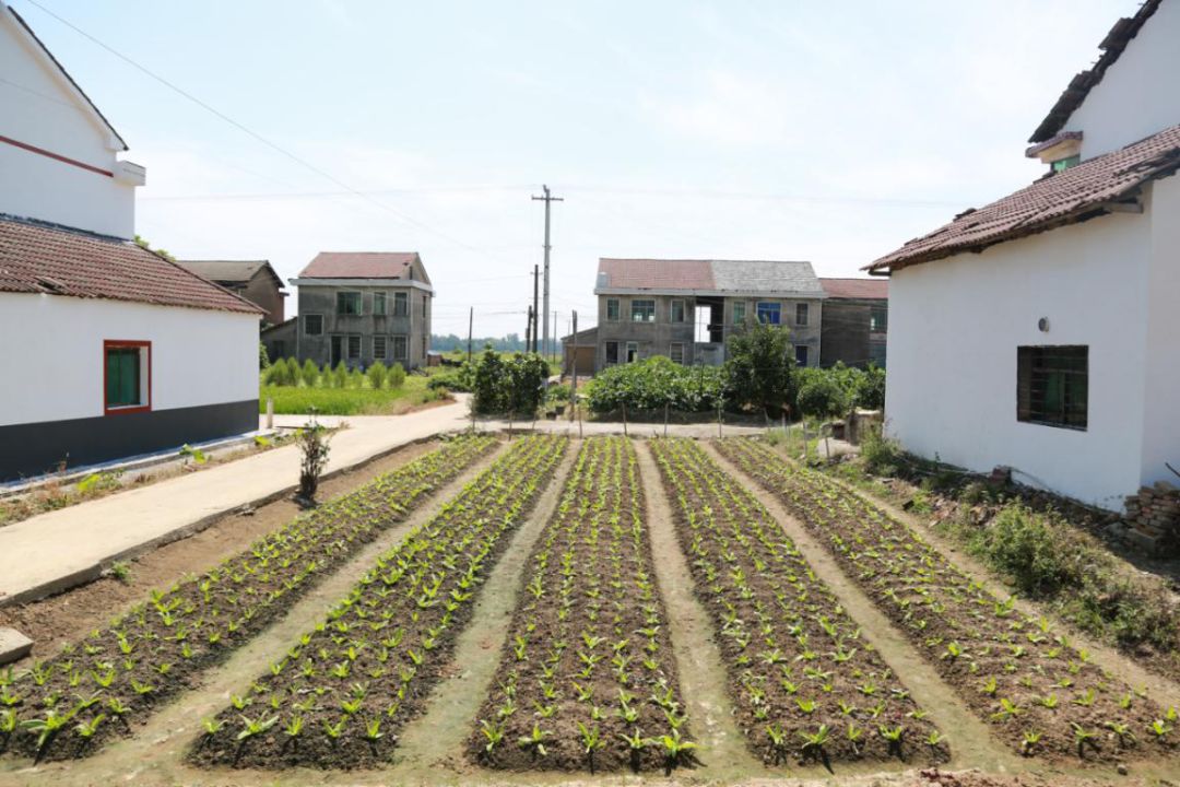 3 3.jpg?v=1765771807275