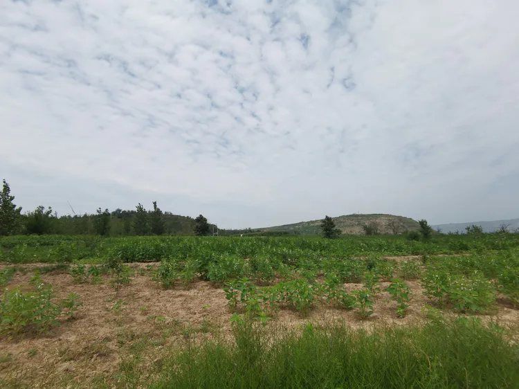 微信图片_20201021111437