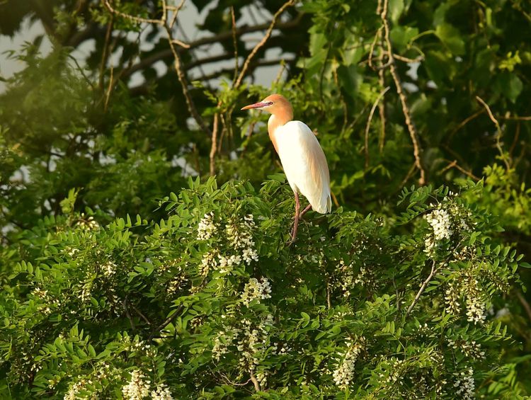 微信图片_20210506094942