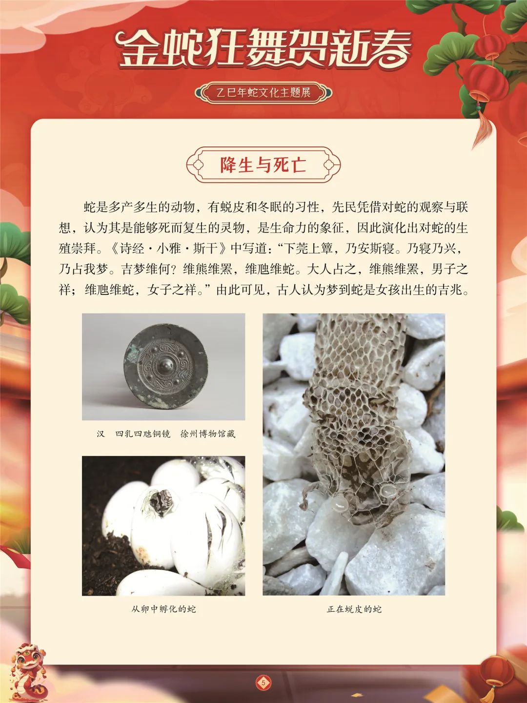 微信图片_20250122085405