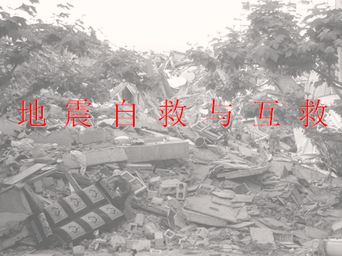 2018091438204321 2018091438204321.png?v=1764820440561