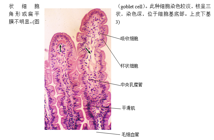 人口染色_人口普查(3)