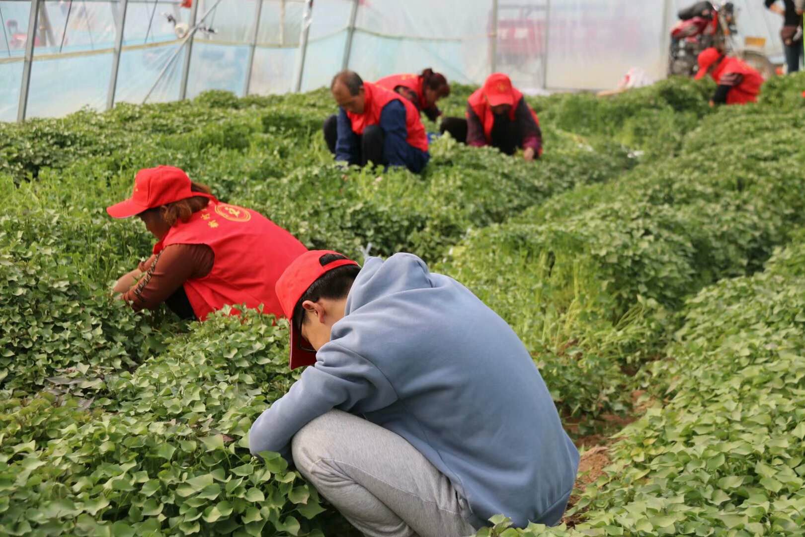 微信图片_20201209101648