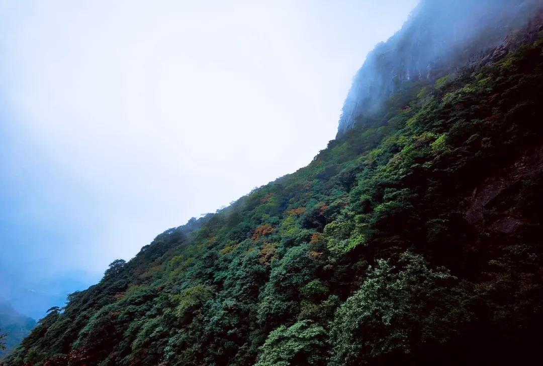 微信图片_20201009130302 微信图片_20201009130302.jpg