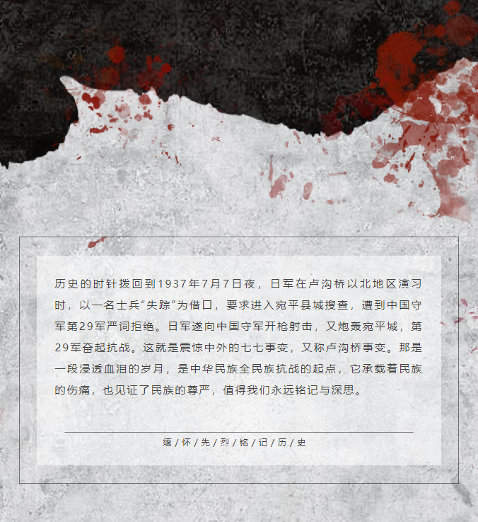 image.png?v=1751537719664