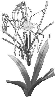 pagenumber_ebook=221,pagenumber_book=221