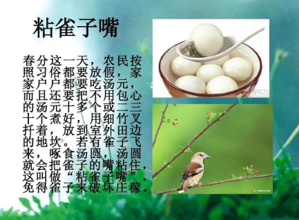 图片 图片.png?v=1761880172565