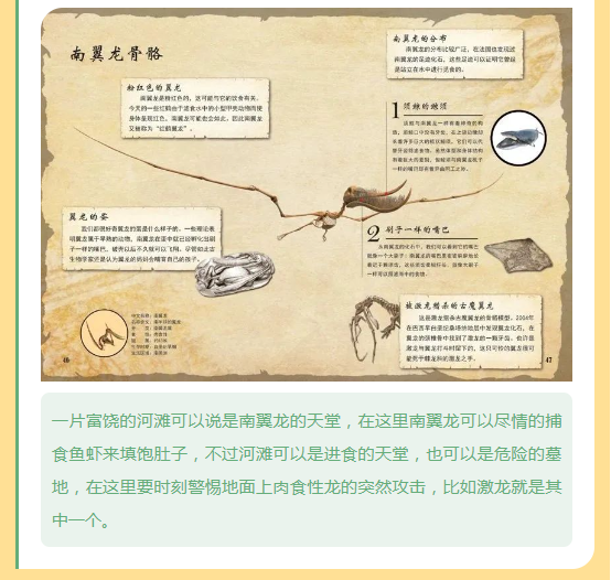 image.png?v=1750240592262