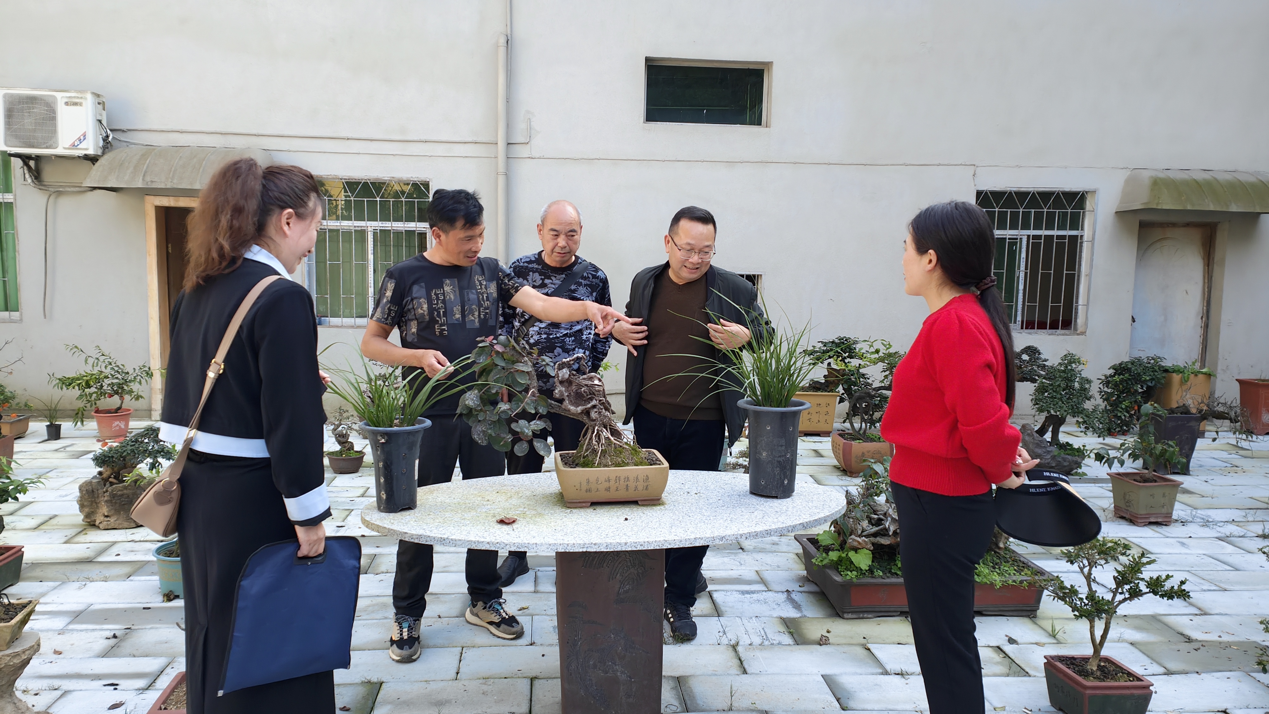 IMG20231102144541 IMG20231102144541.jpg