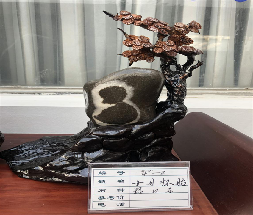 图片8 图片8.png?v=1766107193471