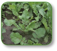 pagenumber_ebook=152,pagenumber_book=139