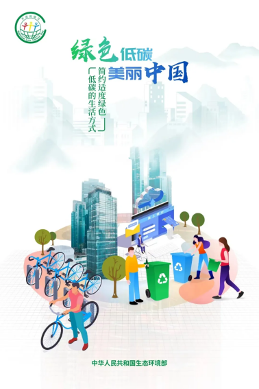 image image.png?v=1770186454148