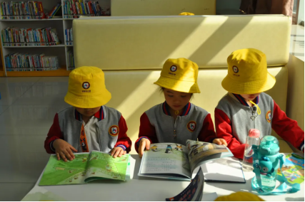 image image.png?v=1772868952865