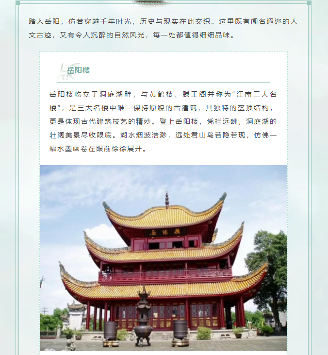 image.png?v=1751556769079