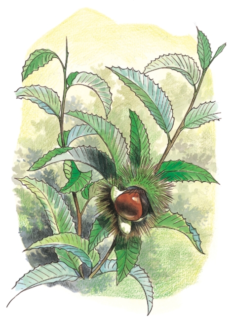 pagenumber_ebook=81,pagenumber_book=79