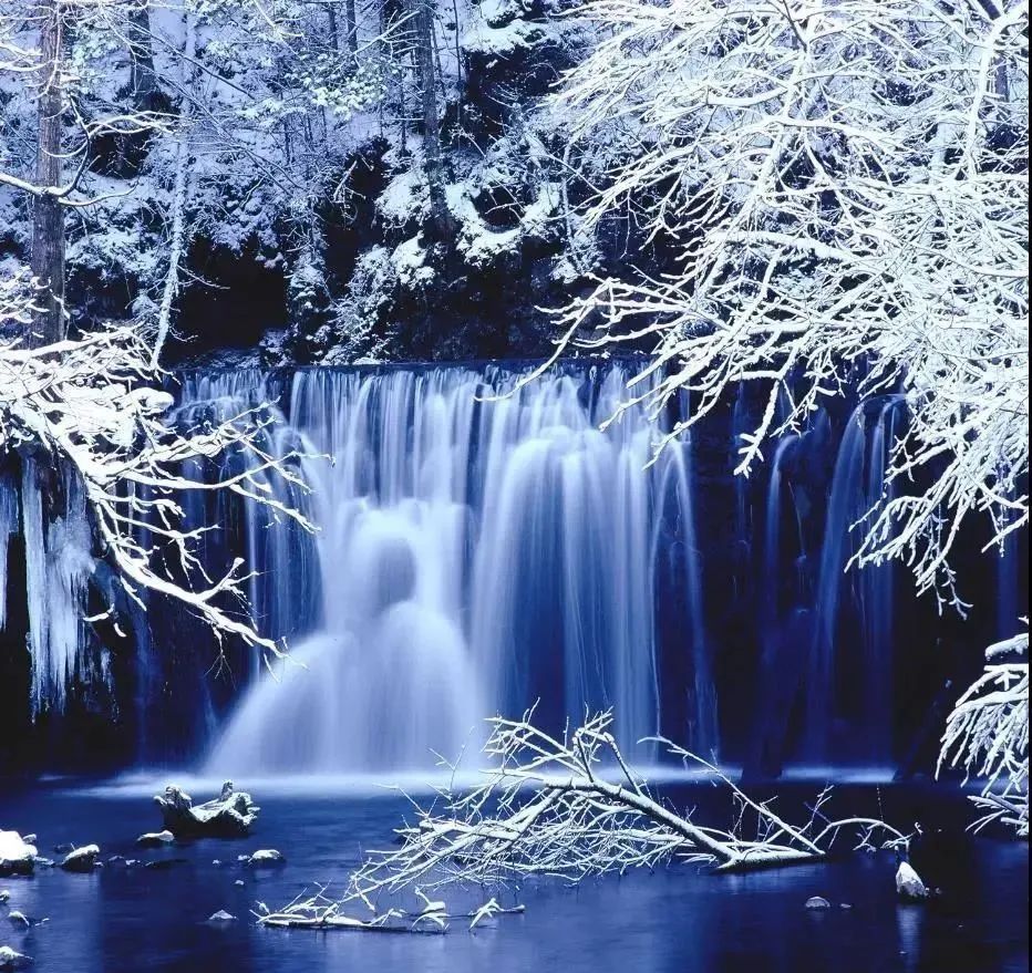 微信图片_20211116121615