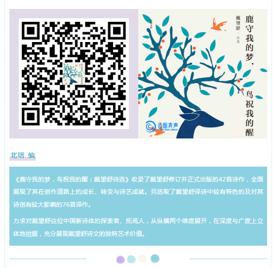 image.png?v=1754493821769