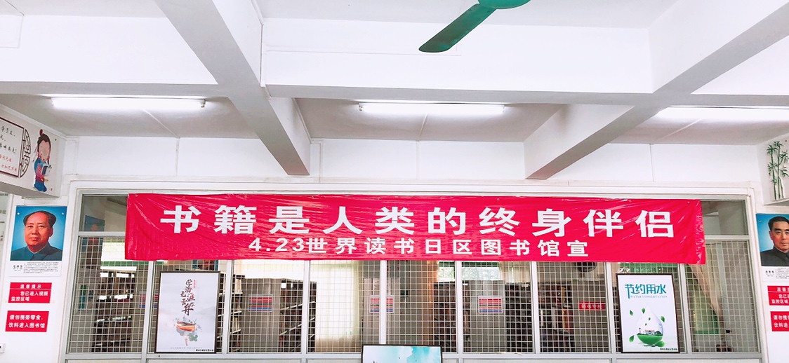 IMG_0050 IMG_0050.jpg?v=1762673574884