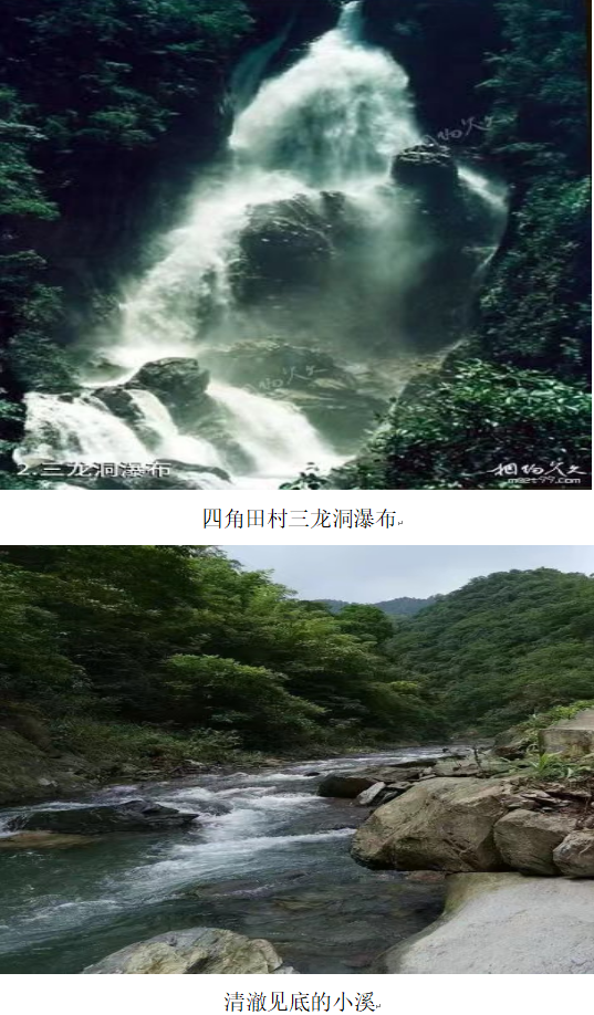 1732264136250 1732264136250.png