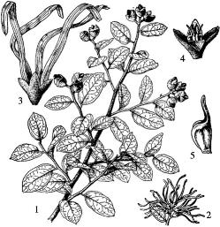 pagenumber_ebook=160,pagenumber_book=160