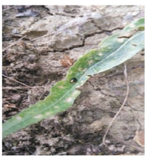 pagenumber_ebook=38,pagenumber_book=30