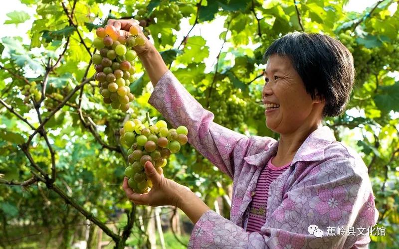 13 13.jpg?v=1765891042459