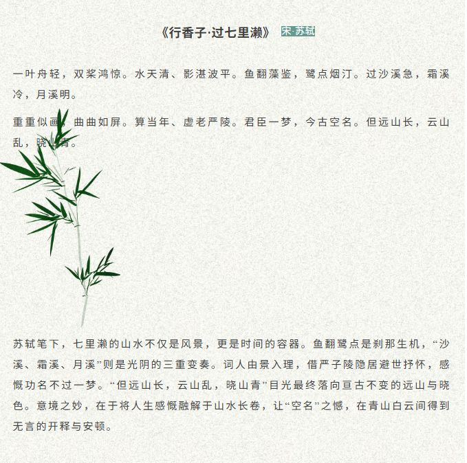 image.png?v=1774110504356