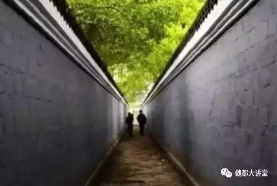 20170711221639_fjn3n5p77p 20170711221639_fjn3n5p77p.jpg?v=1766681557464