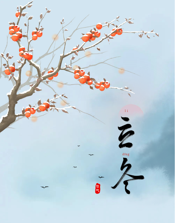 image.png?v=1766280835487