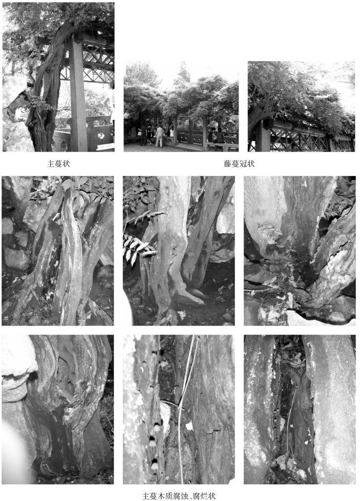 pagenumber_ebook=119,pagenumber_book=119