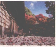 pagenumber_ebook=182,pagenumber_book=174