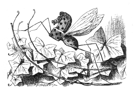 pagenumber_ebook=174,pagenumber_book=168