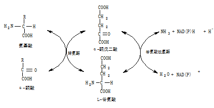 04.png