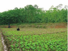 pagenumber_ebook=43,pagenumber_book=43