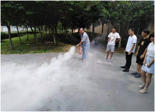 image image.png?v=1763902097656