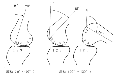 pagenumber_ebook=37,pagenumber_book=19