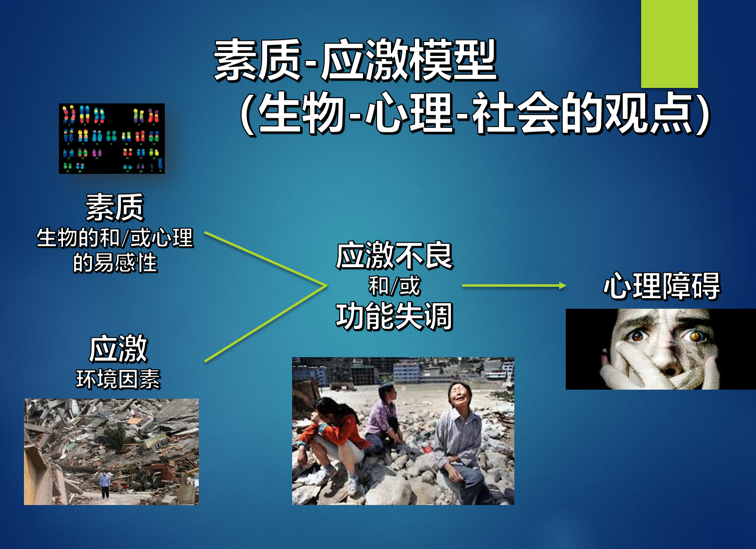 素质应激.png