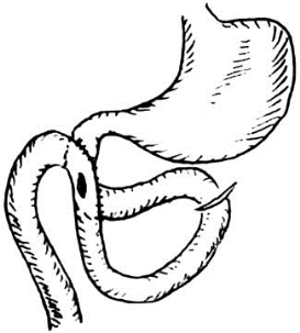 pagenumber_ebook=564,pagenumber_book=549