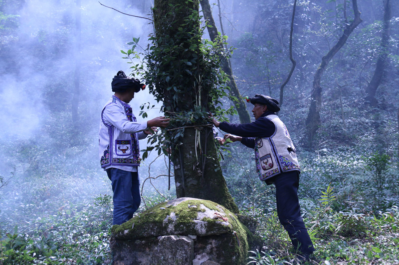 图片10 图片10.jpg