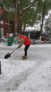 image image.png?v=1765113059948