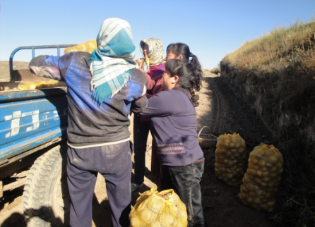 图片2.png?v=1762152952431