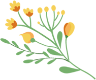 微信图片_20220316160422 微信图片_20220316160422.png