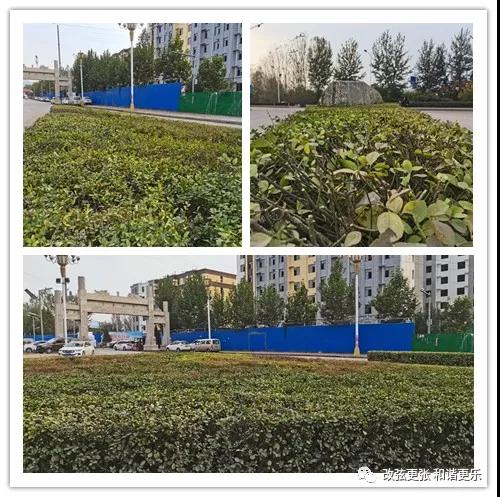 微信图片_20211108105941 微信图片_20211108105941.jpg